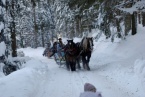 Prawdziwy góralski kulig w dolinie potoku Cichego (fot. Piotr Bednarz)